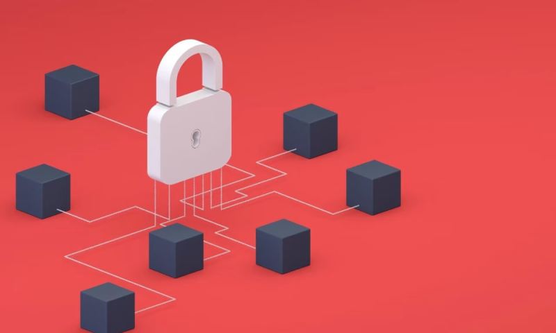 项目管理的智慧：确保软件定制开发成功的关键要素
